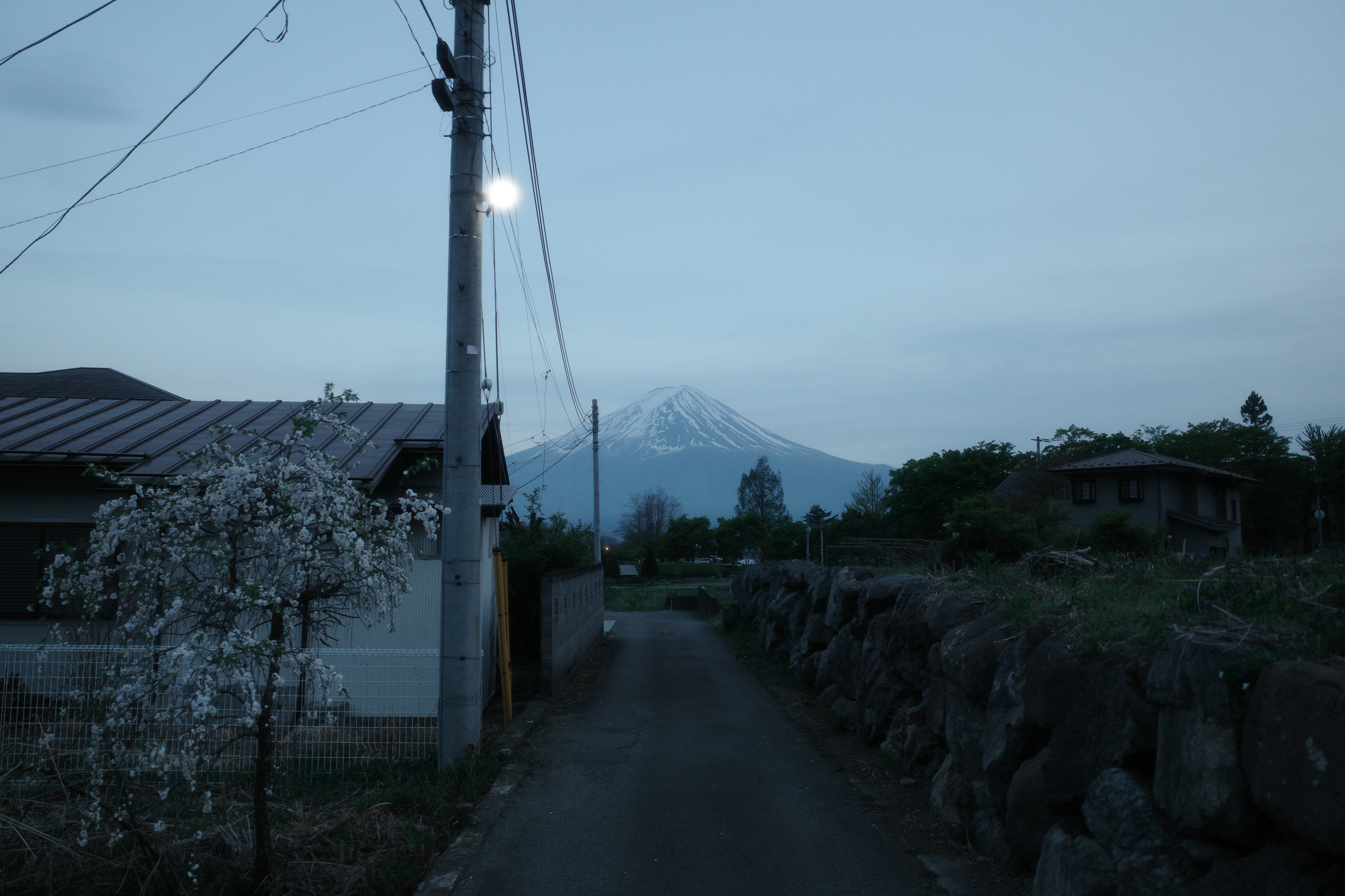 Featured Photo